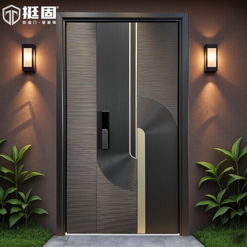 Porte professionnel premium